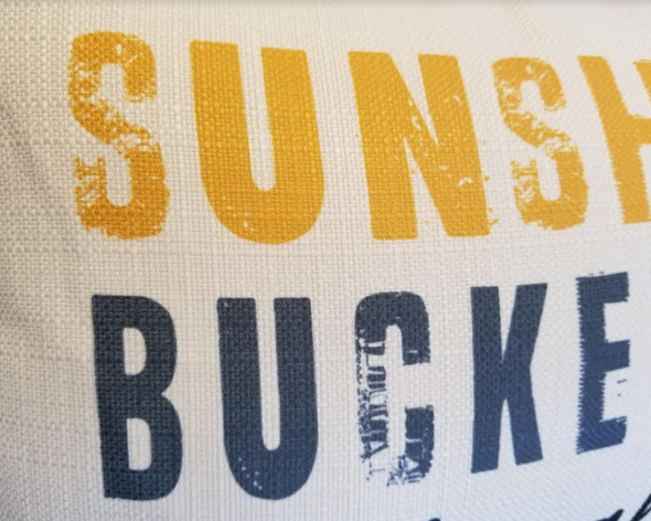 Sunshine and Lake Pillow