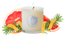 No. 15 Boat Waves Sun Rays Lake Days