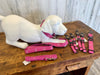 Pink Dog Collar With White Mini Anchor Design