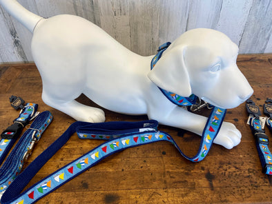 Light Blue Dog Collar With Colorful Sailboat Fleet Design